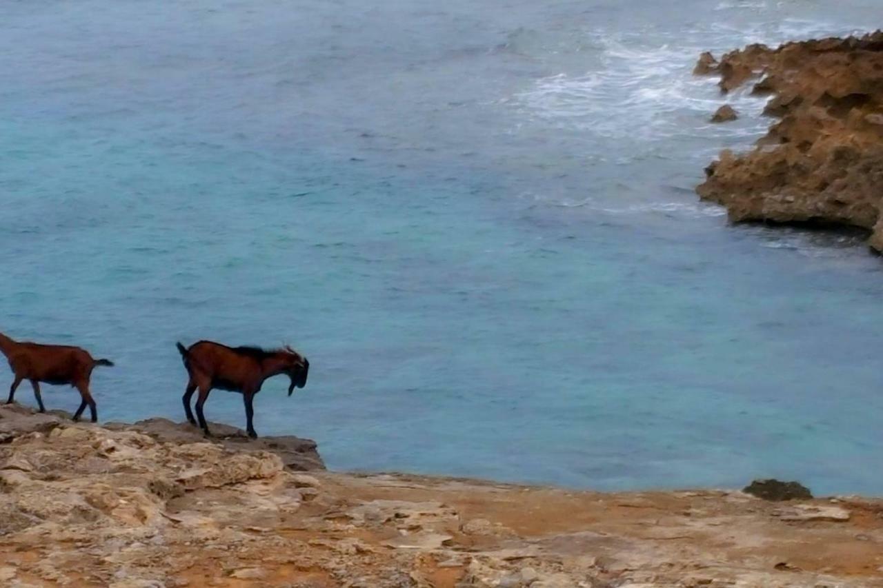 Es Fasser Αλκούδια Εξωτερικό φωτογραφία